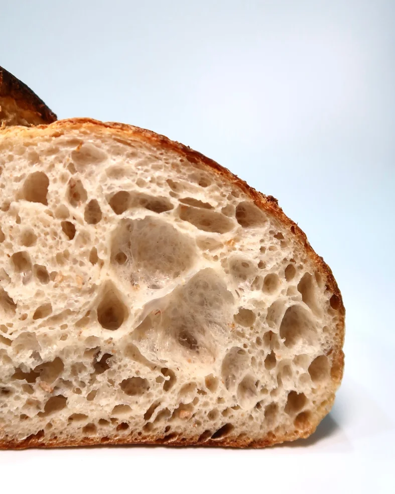 Cross-section of a country loaf